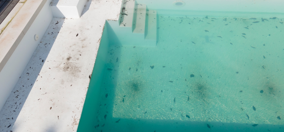 Mantenimiento de piscinas: Aspirado de fondo, limpieza y balance de PH